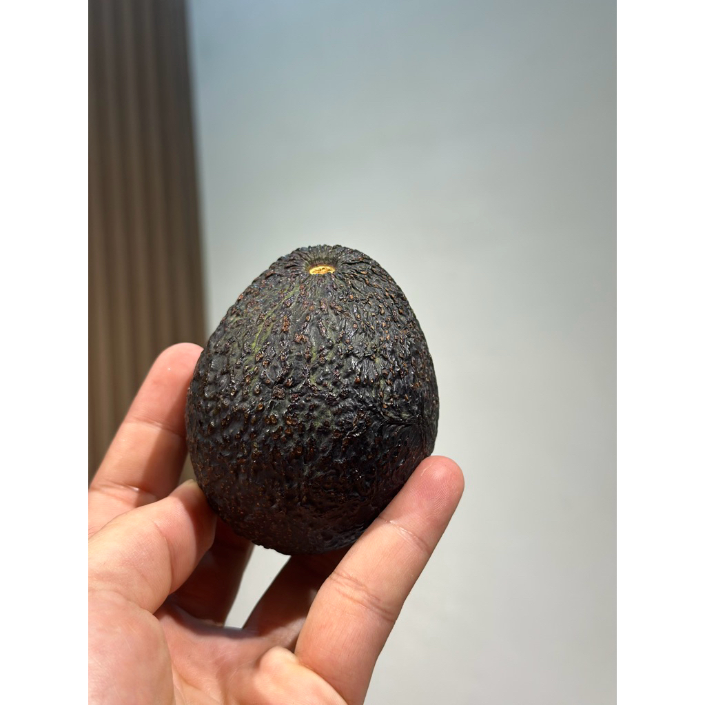 

Parpokat | Alpukat HASS Mentah 500gr