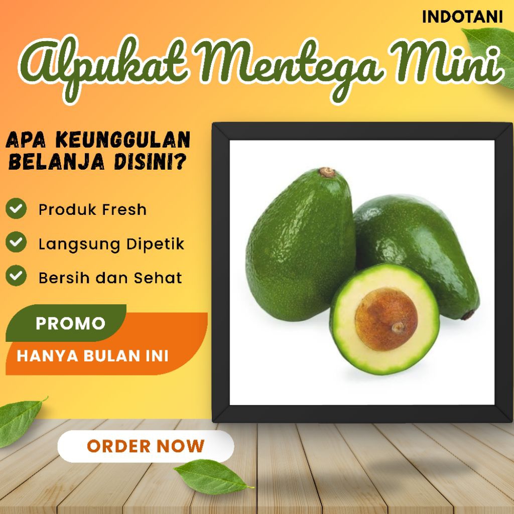 

INDOTANI_ Alpukat Mentega Mini / Alpukat Kualitas Terbaik