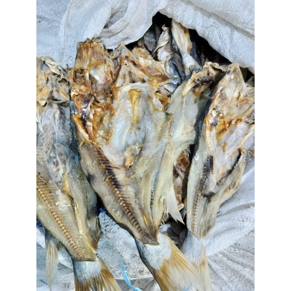 

IKAN ASIN BAUNG / DURI / DUKANG / BAONG MEDAN / kualitas premium ♛1kg