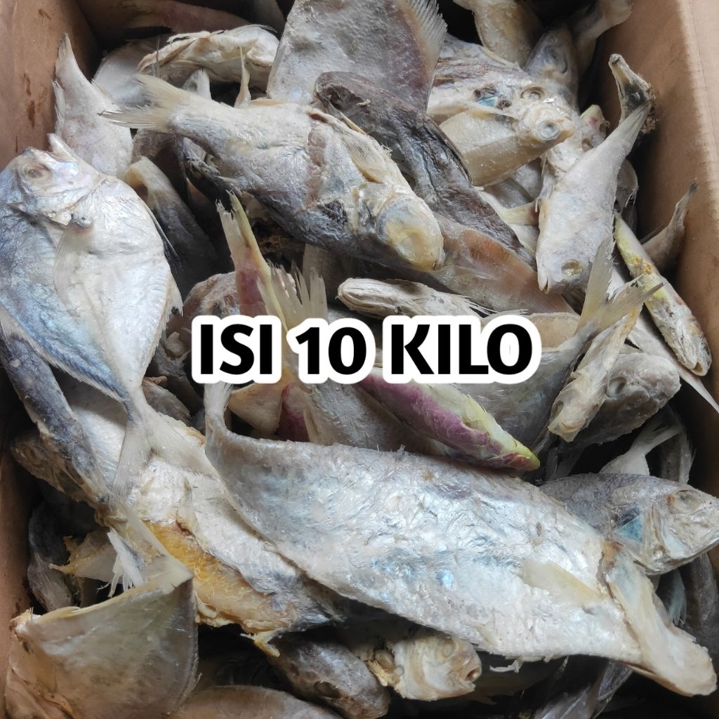 

BISA DIJUAL LAGI!!! IKAN ASIN CAMPUR CAMPUR BERBAGAI JENIS IKAN ISI 10KG MURAH CUCI GUDANG