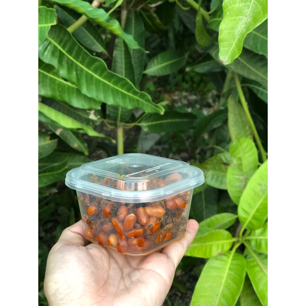 

Kacang Teri balado pedas manis krispi