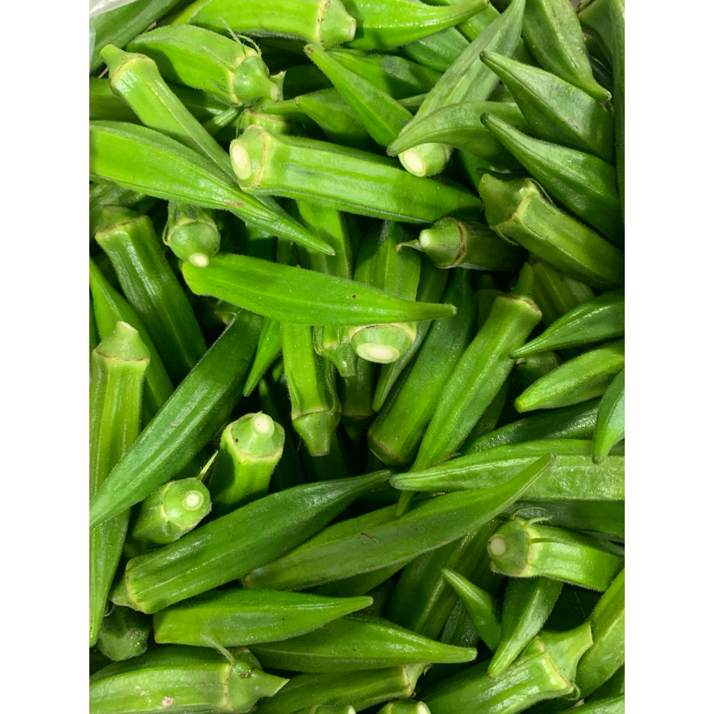 

Sayur Okra Hijau - 500gram