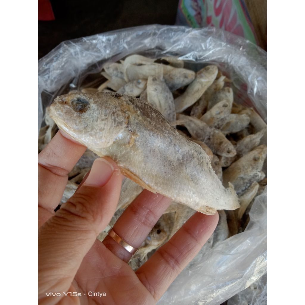 

ikan asin kepala batu kualitas premium kemasan standing pouch