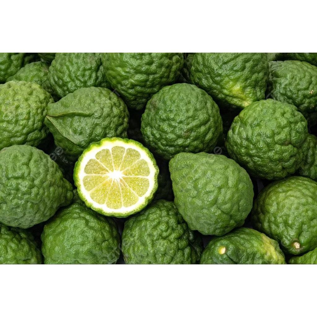 

JERUK PURUT SEGAR 250g 500g 1kg / BUAH / HERBAL /BUMBU DAPUR.