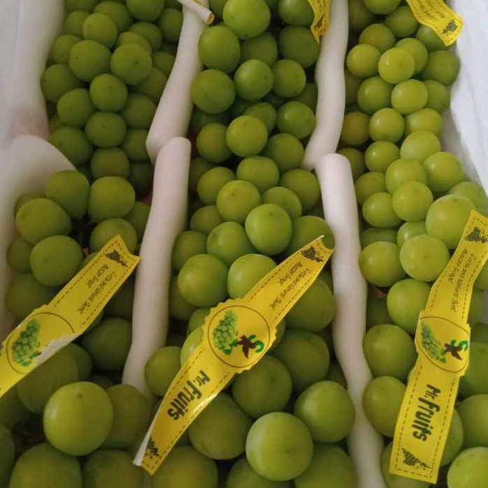 

ANGGUR HIJAU SHINE MUSCAT TANPA BIJI