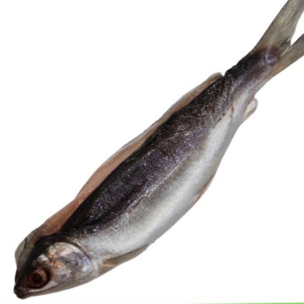 

Kode J. Ikan Bandeng Cabut Duri | Tanpa Duri Beku Frozen
