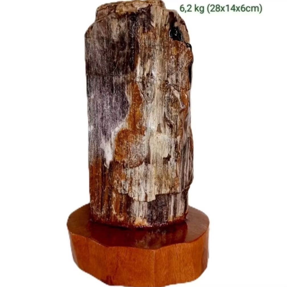 batu hias suiseki fosil kayu galih kelor (124)