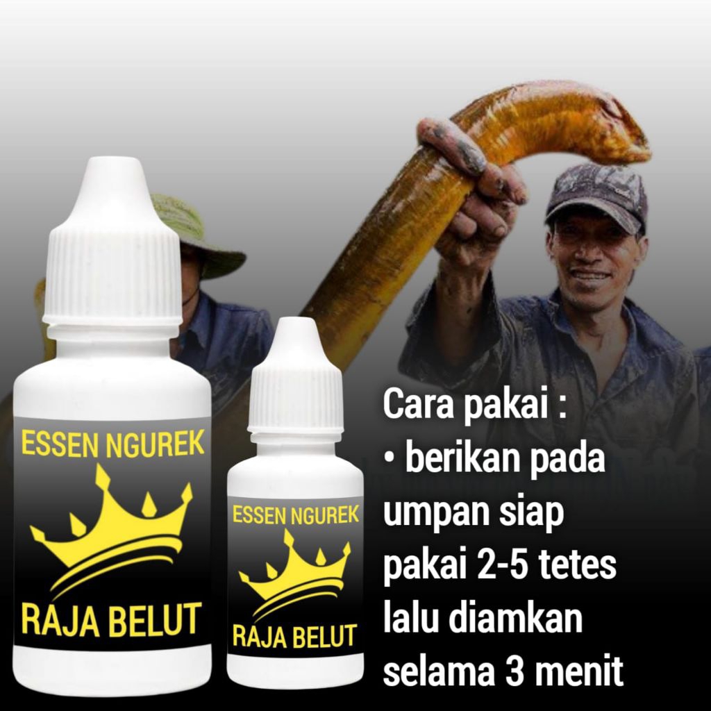 Essen umpan mancing belut