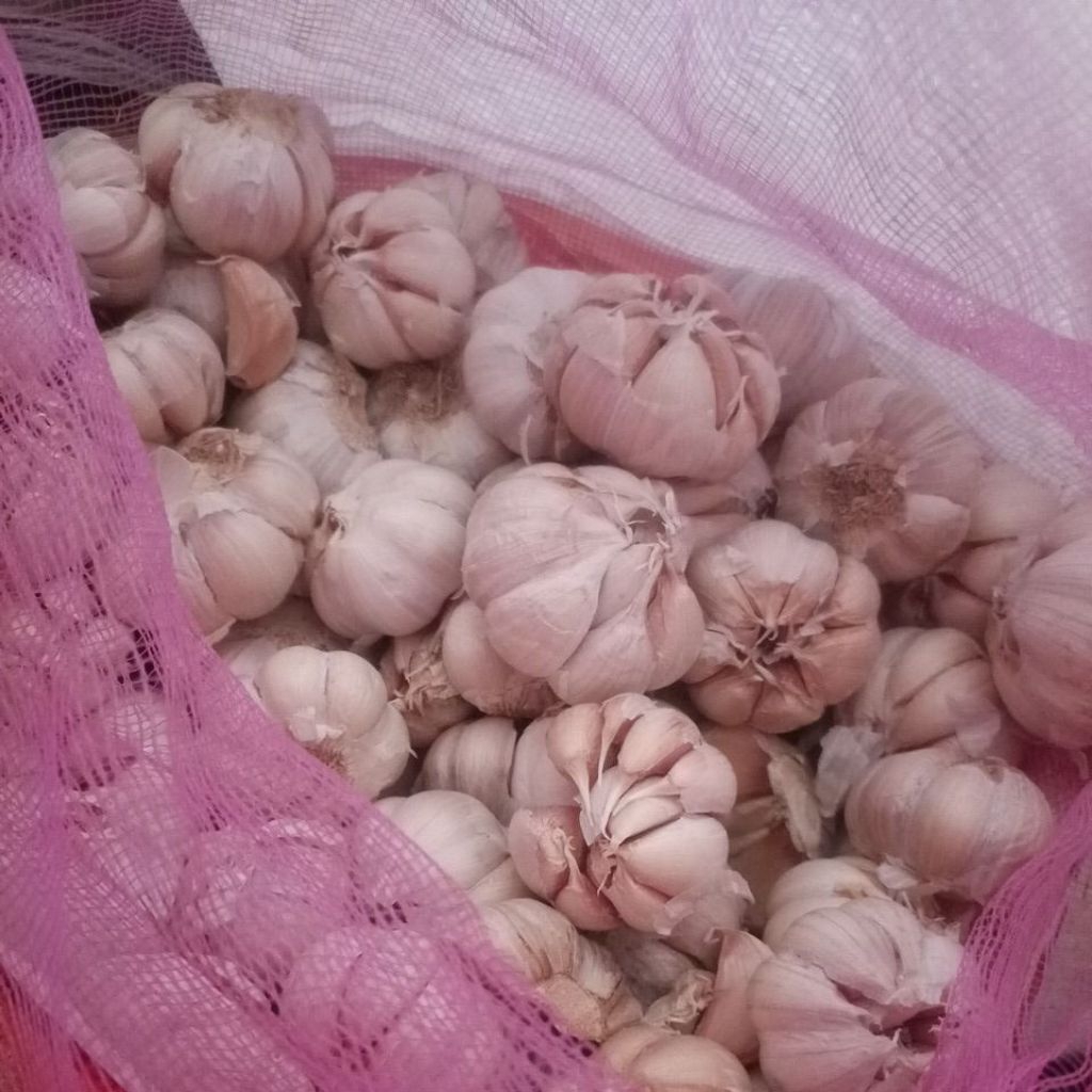 

Bawang Putih ecer