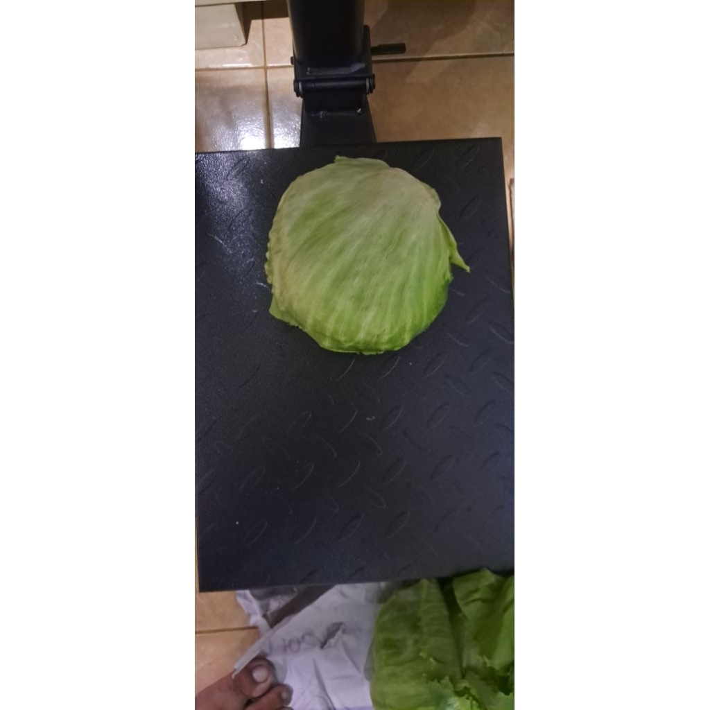 

LETTUCE 1KG