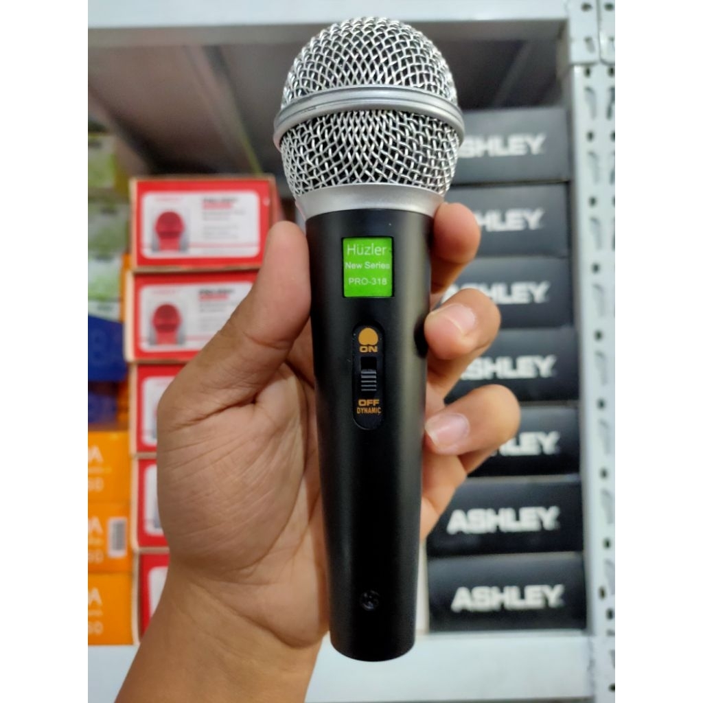 Microphone Huzler PRO 318