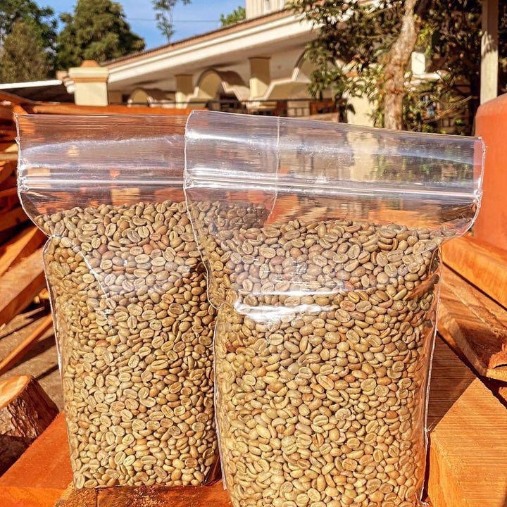 

FLEURI | BIJI KOPI | GREEND BEEN ARABIKA IJEN ASLI 100% (Proses Honey) GRADE 1 KWALITAS EXPORT
