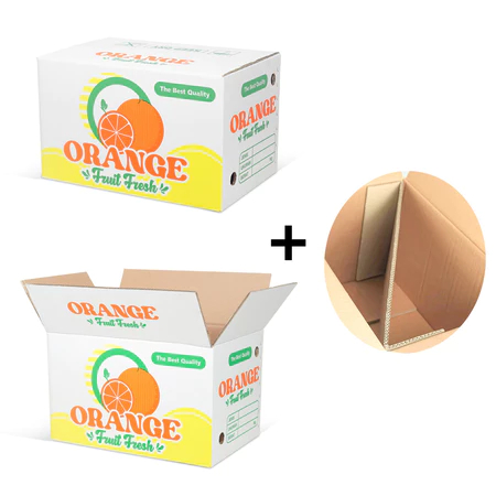 

(5pcs) Box Buah Jeruk Ukuran 48x32x29cm Kardus Orange Fresh Dengan Sekat