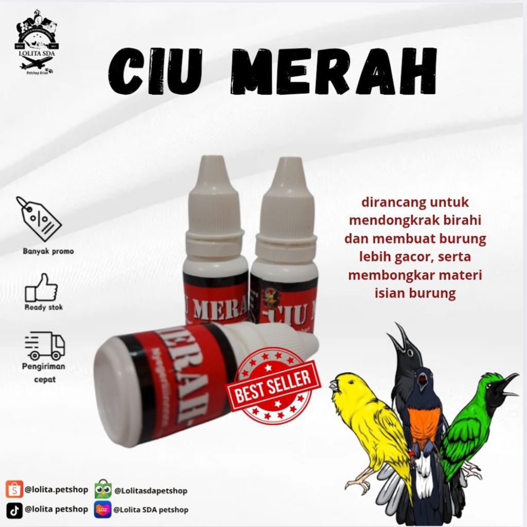 ciu merah vitamin penggacor burung murai batu cucak ijo kolibri dan kacer
