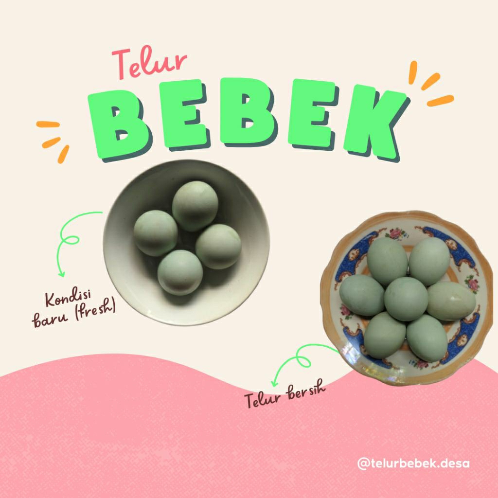 

Telur bebek mentah