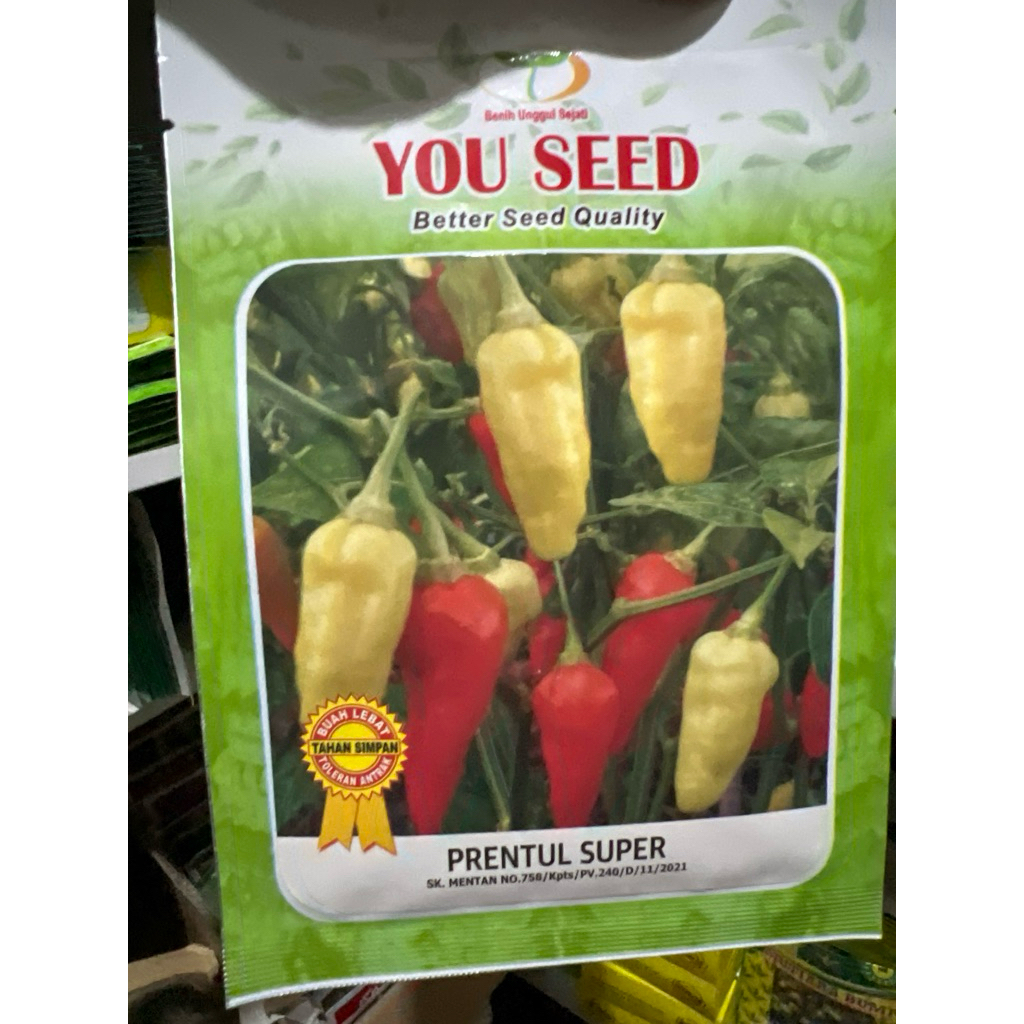 Benih cabe PRENTUL SUPER 10 gram dari you seed cabai rawit unggul putih