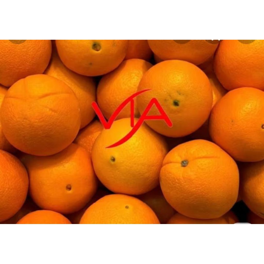 

Sunkist navel 1kg isi 4-5pcs