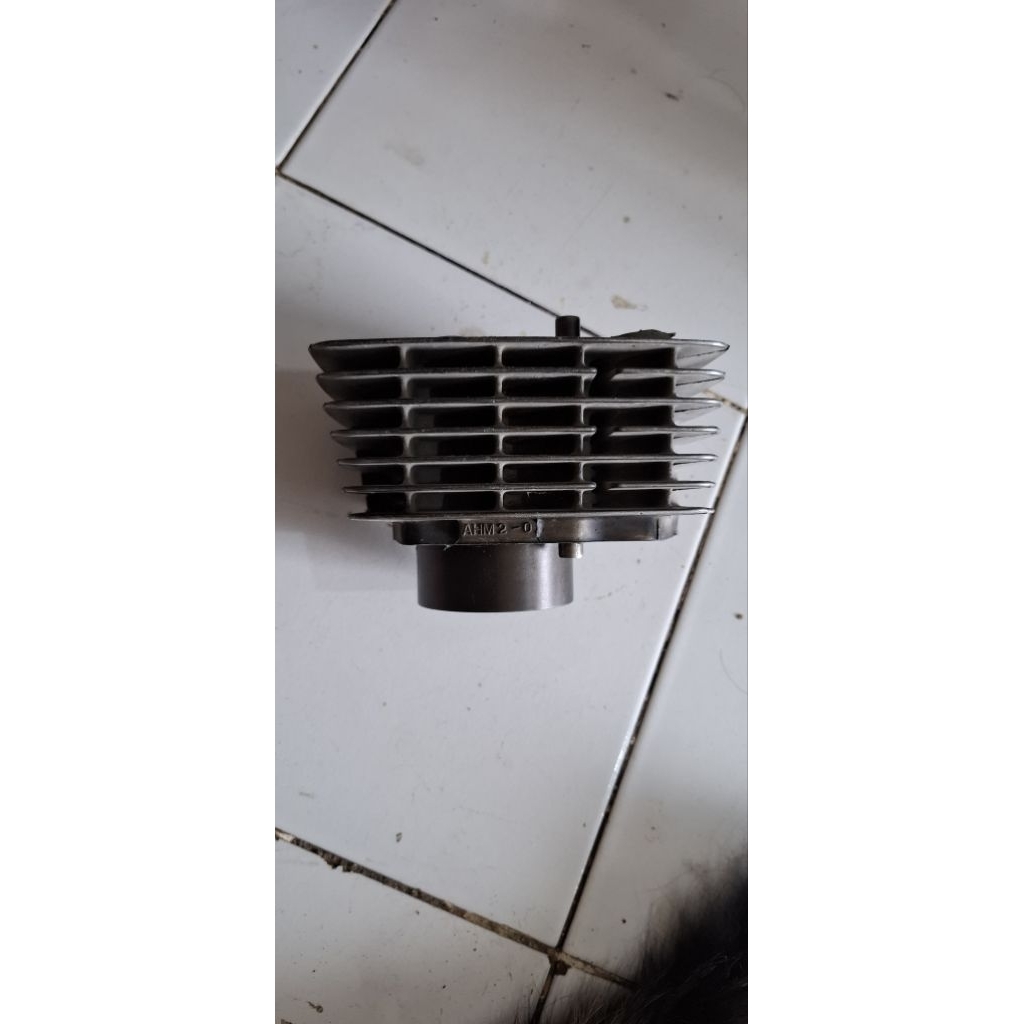 Blok seher tiger original copotan