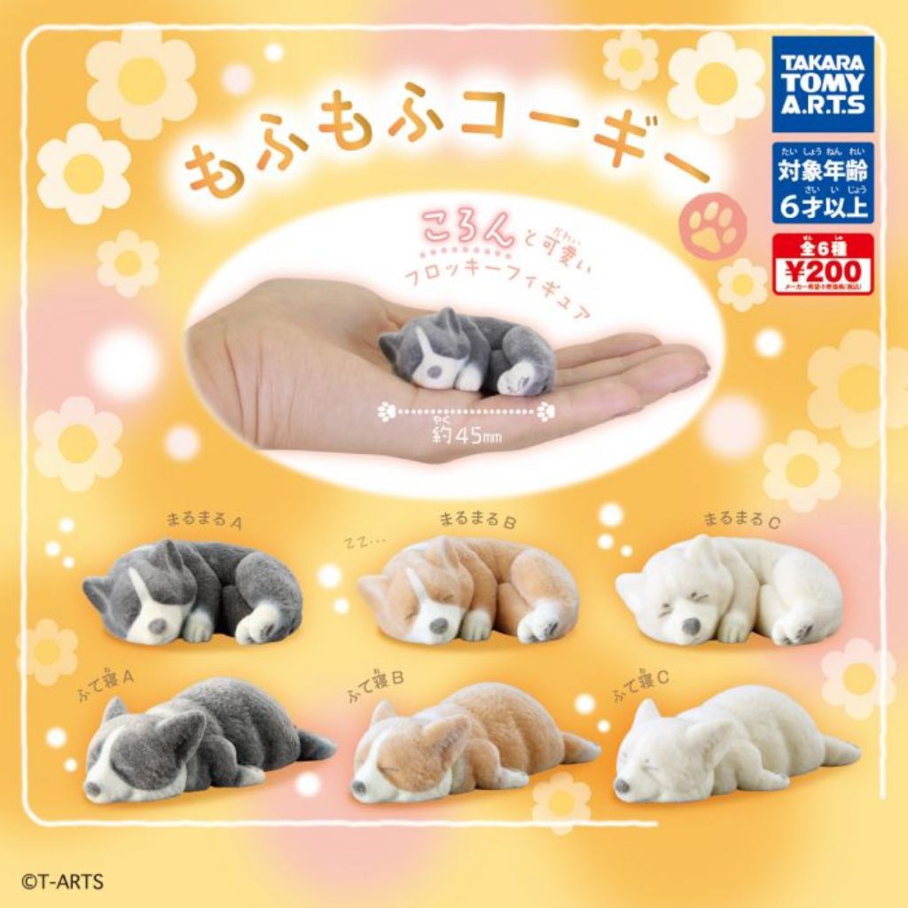 mofumofu corgi gashapon mini figur anjing corgi bludru capsule toys original takara tomy