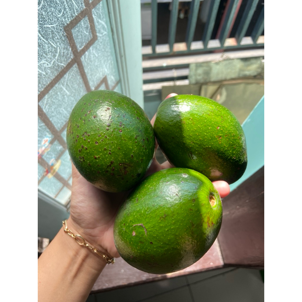 

DAPUR_SENDIRI | ALPUKET MENTEGA LOKAL | PERKILO ISI 4-5PCS