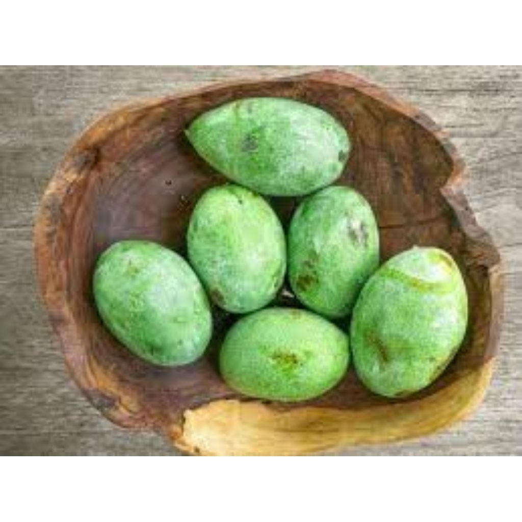

mangga manalagi buah segar dan berkualitas