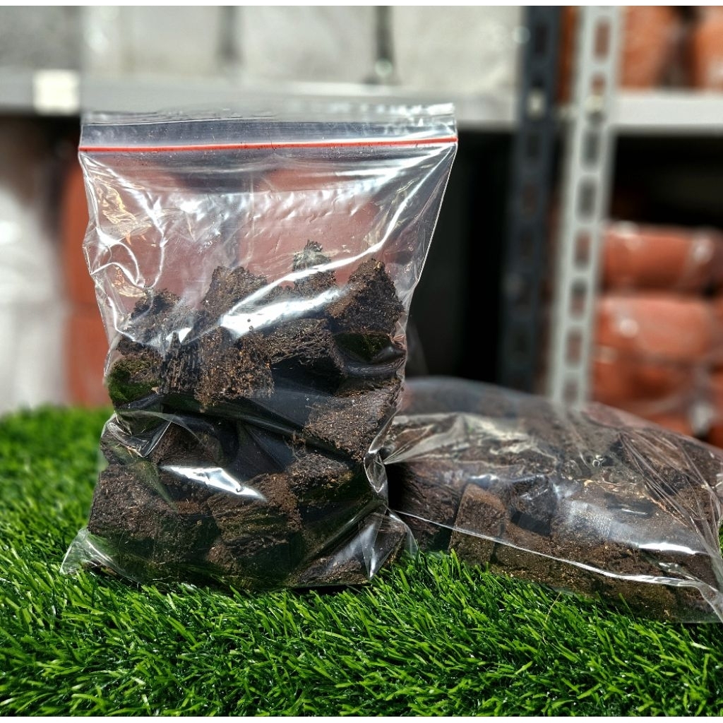 Akar Pakis Kotak / Akar Pakis Dadu Potongan / Media Tanam Akar Pakis