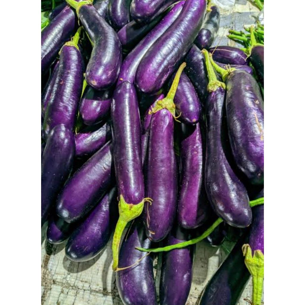 

terong unggu 500 gram bppn