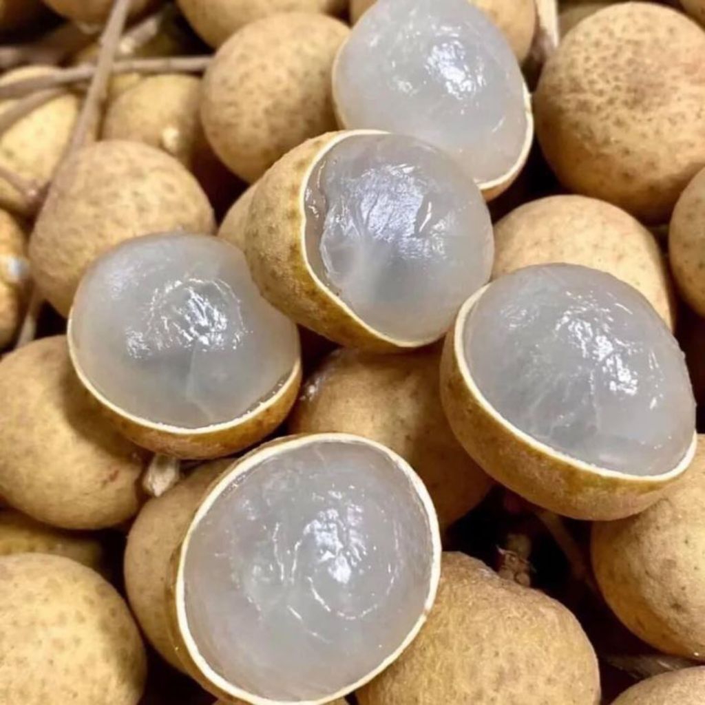 

Klengkeng Madu super