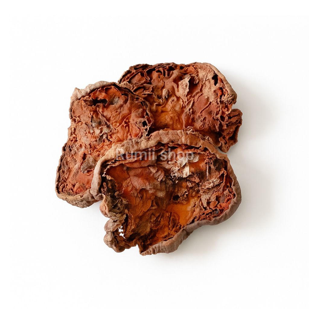 

Sarang Semut papua kering 1kg