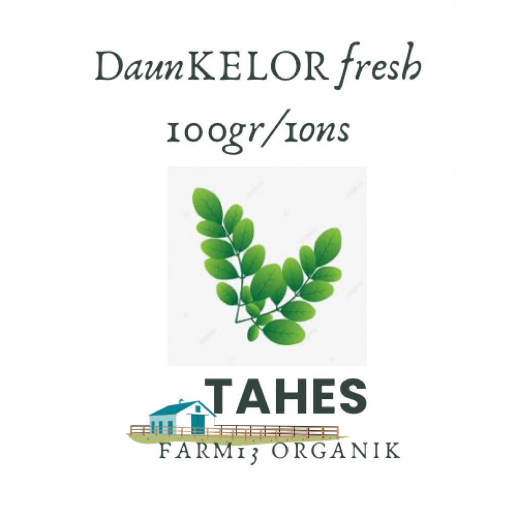 

Daun Kelor Fresh Atau Segar Herbal Kelor Sayur Kelor 100gr Atau 1ons