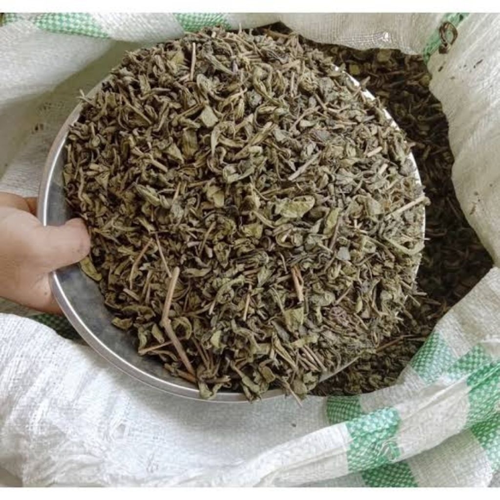 

teh hijau kering original dengan aroma harum berat 5 kg