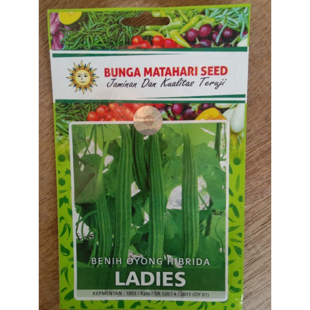 Benih/bibit oyong hibrida (gambas) LADIES cap bunga matahari seed isi 20 butir