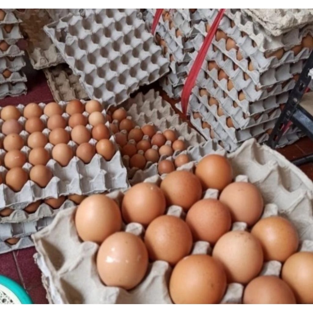 

TELUR AYAM 500gr bersih dan fresh