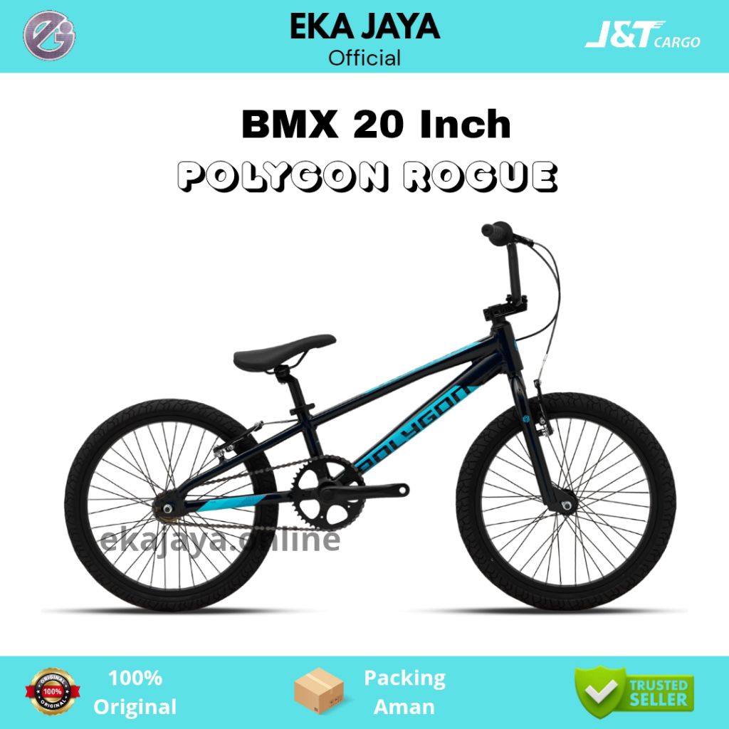 Sepeda BMX Anak Laki Laki 20 Inch POLYGON ROGUE