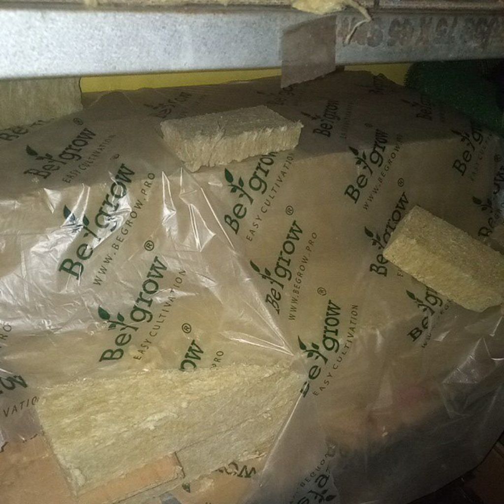 Rockwool 1 Slab Begrow