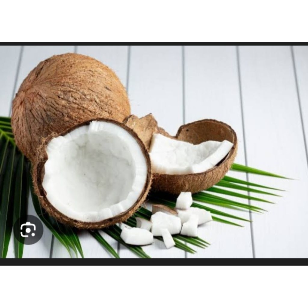 

kelapa fresh 1 butir