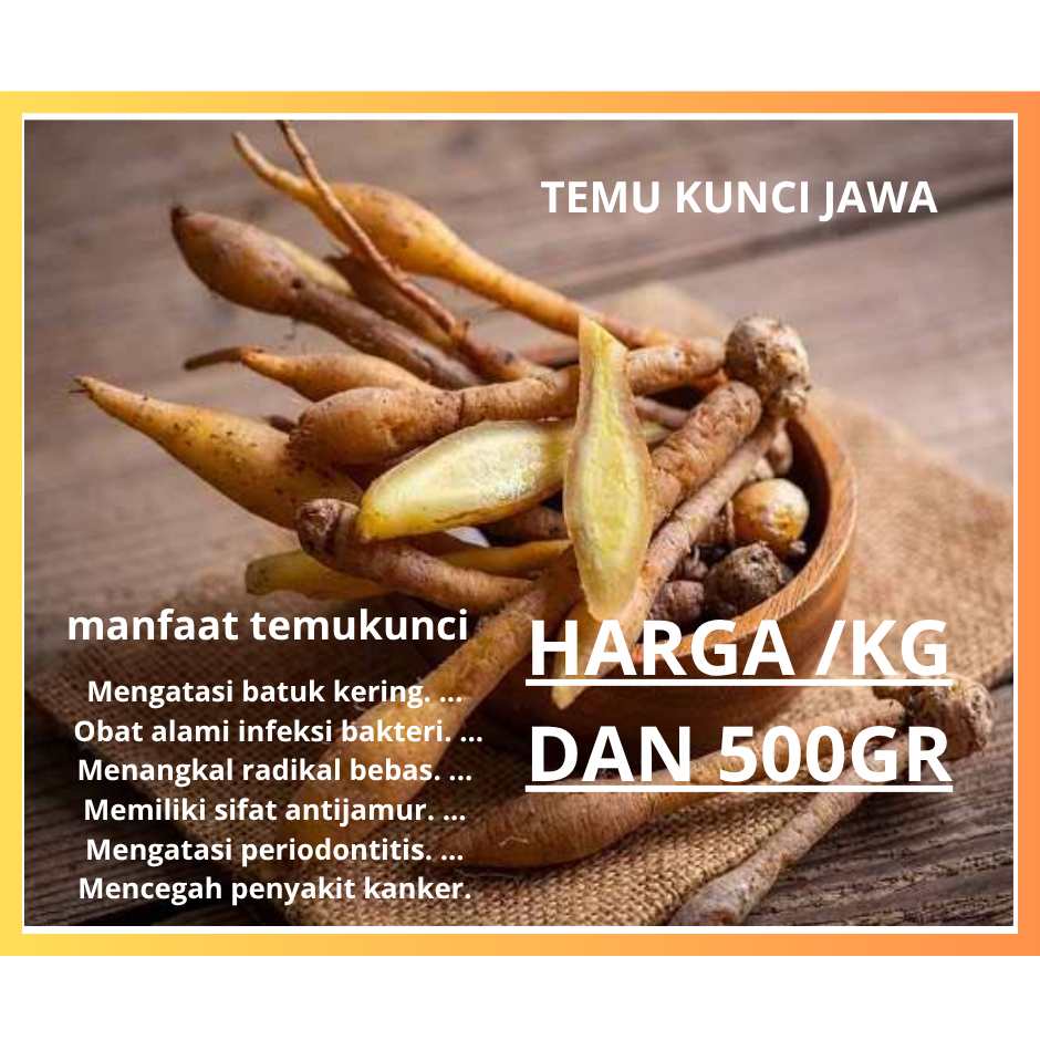 

temukunci 500gr temukunci jawa
