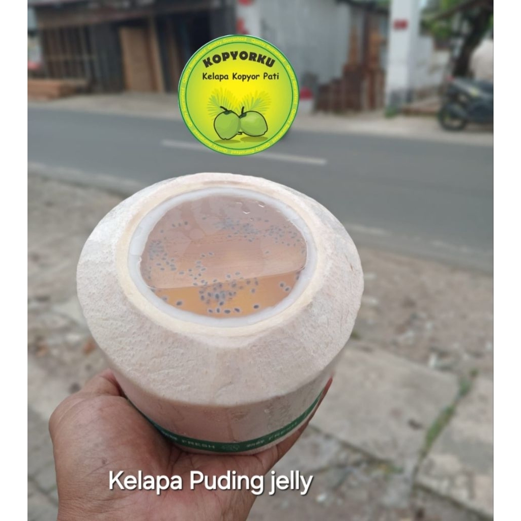 

kelapa puding jelly