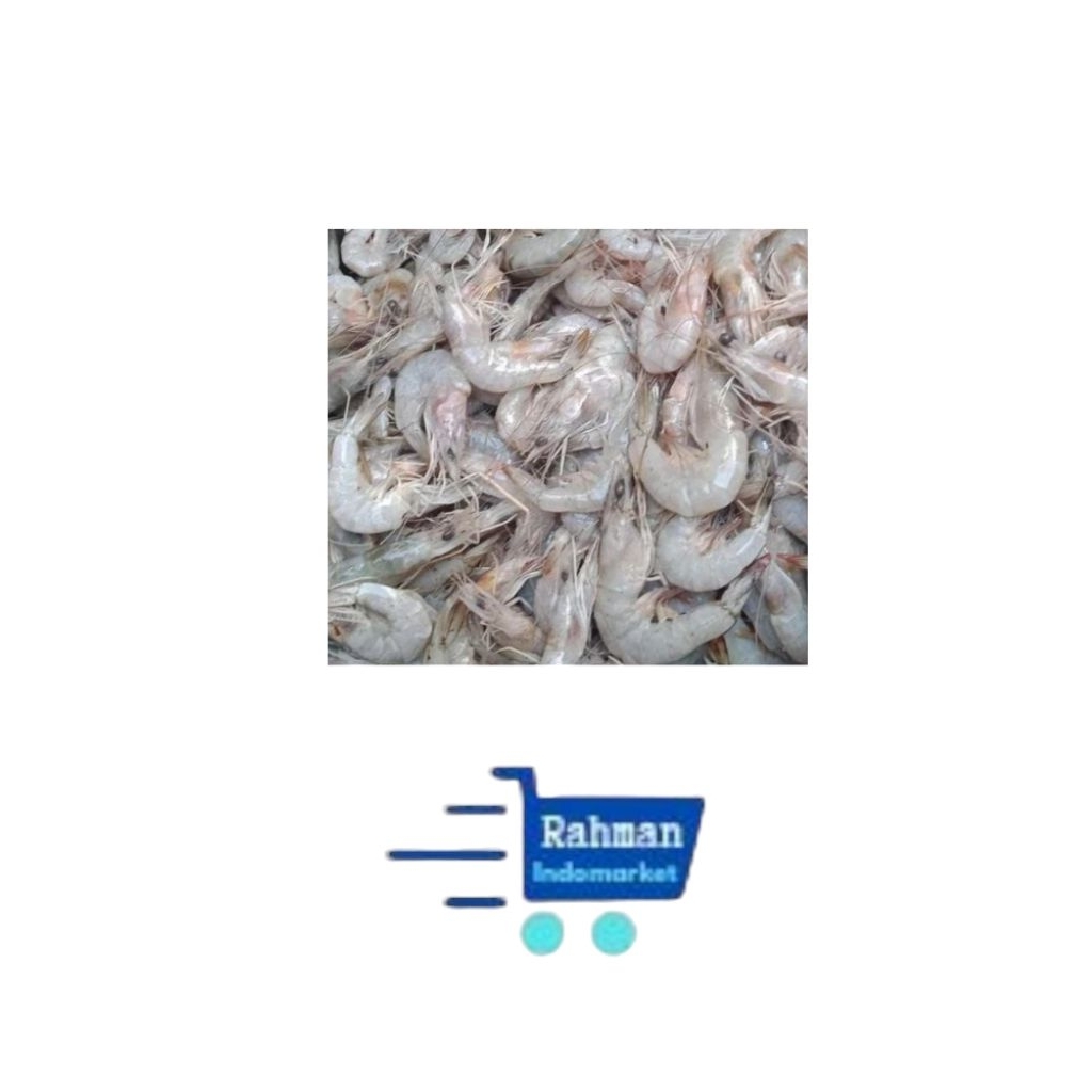 

UDANG LAUT Putih FRESH/ SEGAR 500GR
