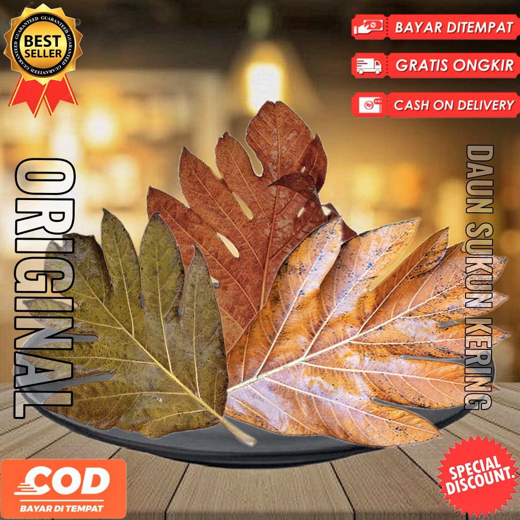 

Daun sukun kering kemasan bersih 100gr-250gr