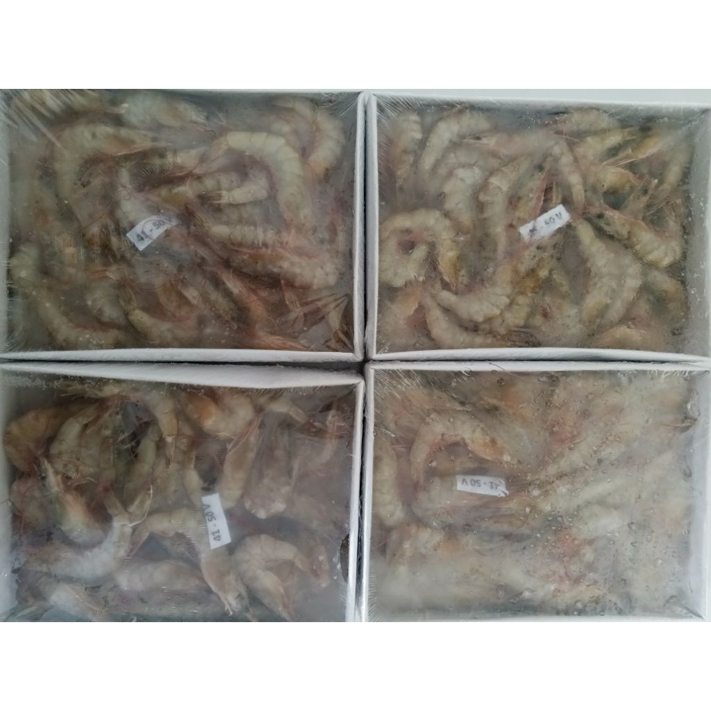 

Udang Vaname Ukuran 41-50 Frozen Segar Beku 1000 gr