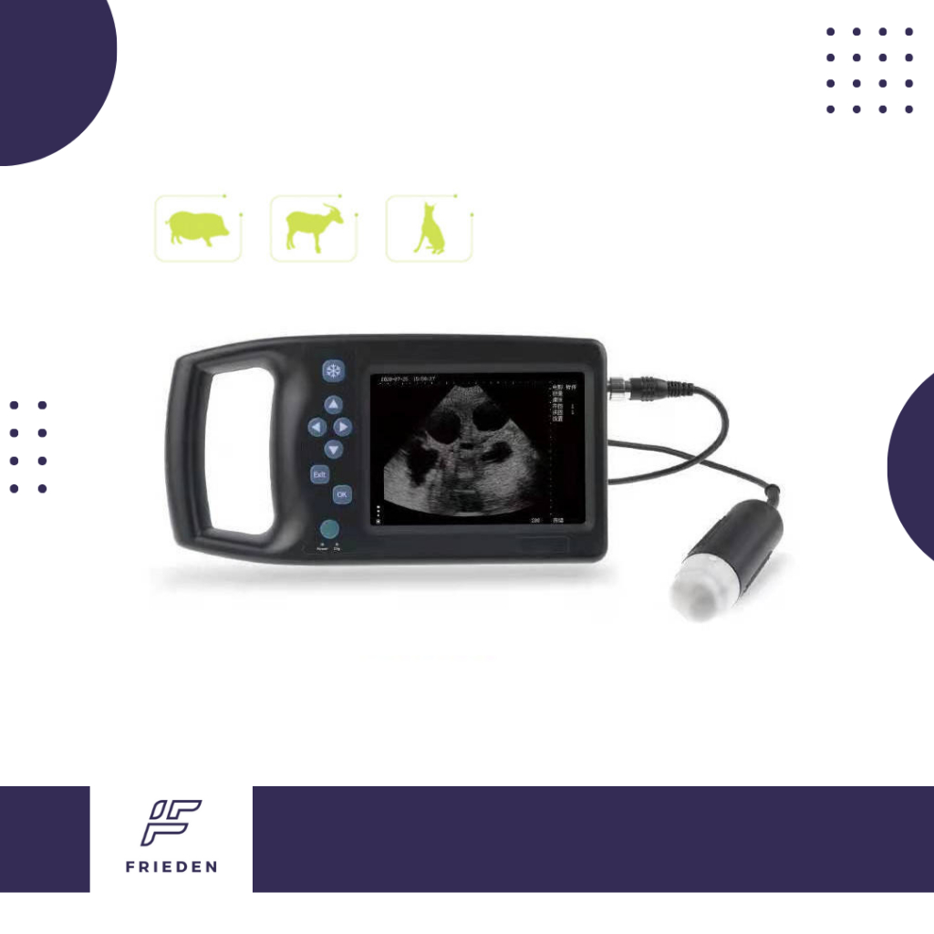 Alat USG Hewan untuk Anjing, Babi, Domba USG