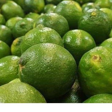 

jeruk nipis JBP Fresh 500gr