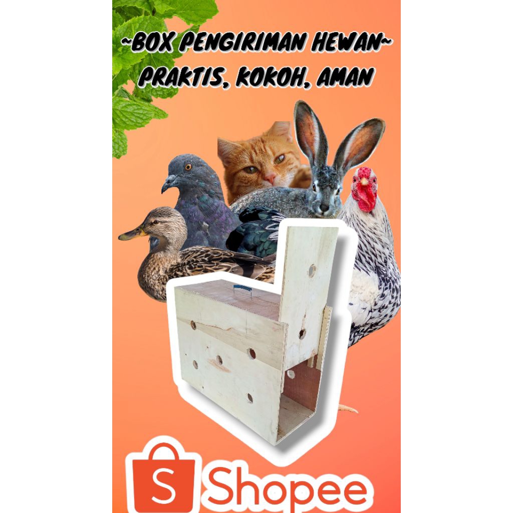 BOX PENGIRIMAN HEWAN PELIHARAAN TEBAL 9MM