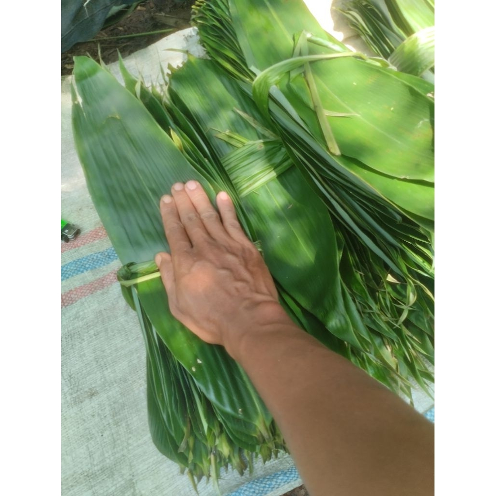 

Daun bambu super/bakcang 1kg