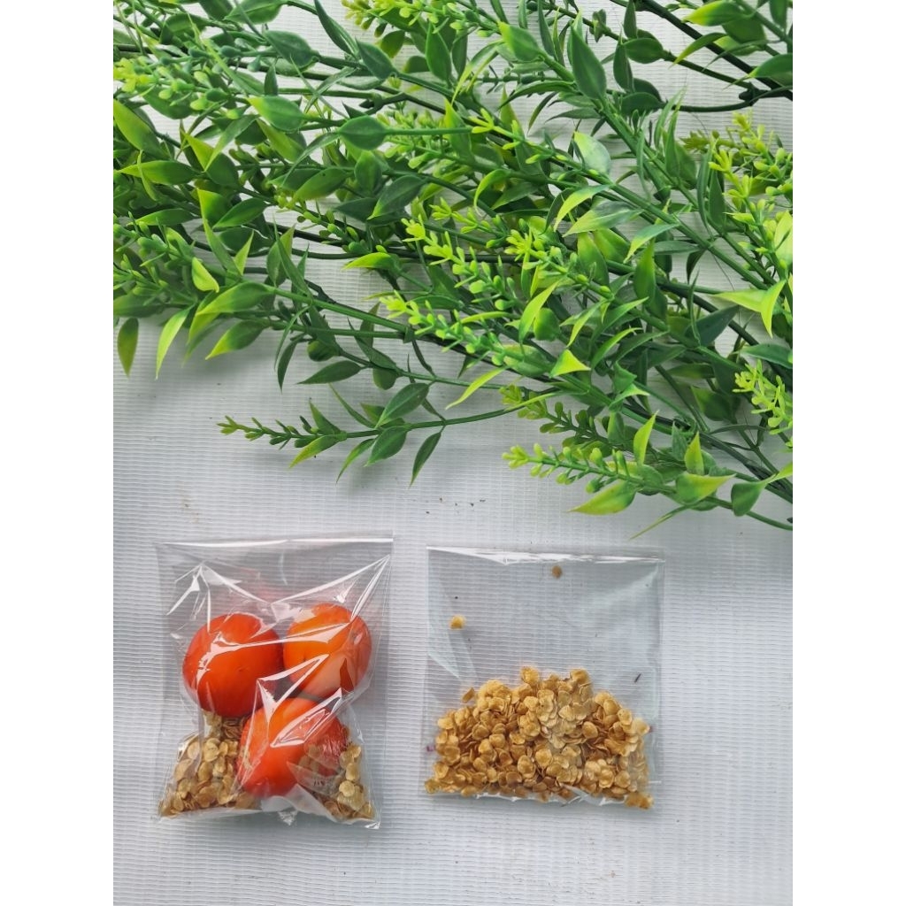 

jual biji terong hutan atau terong esot perbungkus