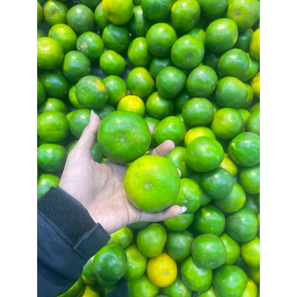 

Jeruk Siam Madu Fresh 1kg