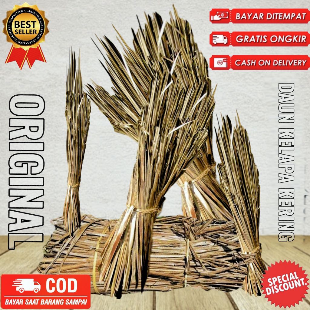 

Daun kelapa kering 1kg balarak kering 1kg bersih kering utuh dengan lidinya