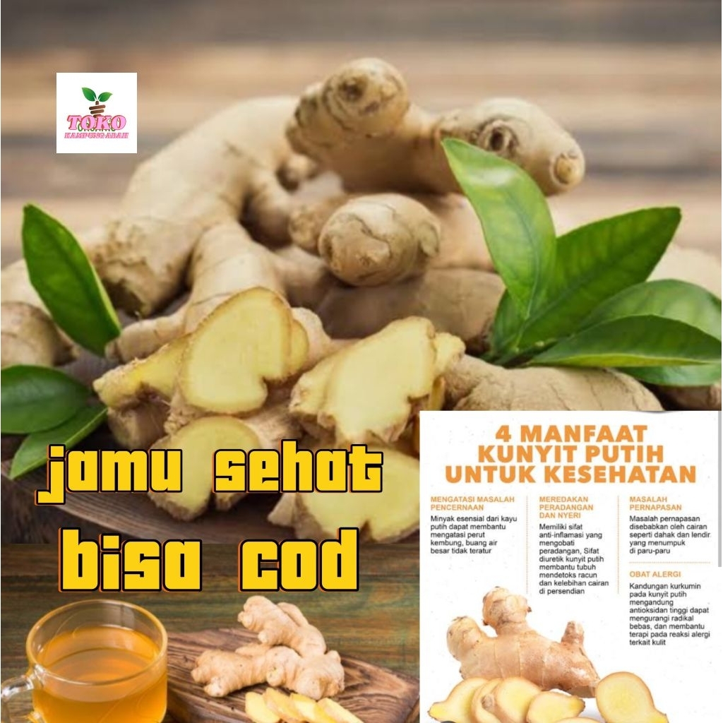 

temu putih segar untuk jamu 500 grm