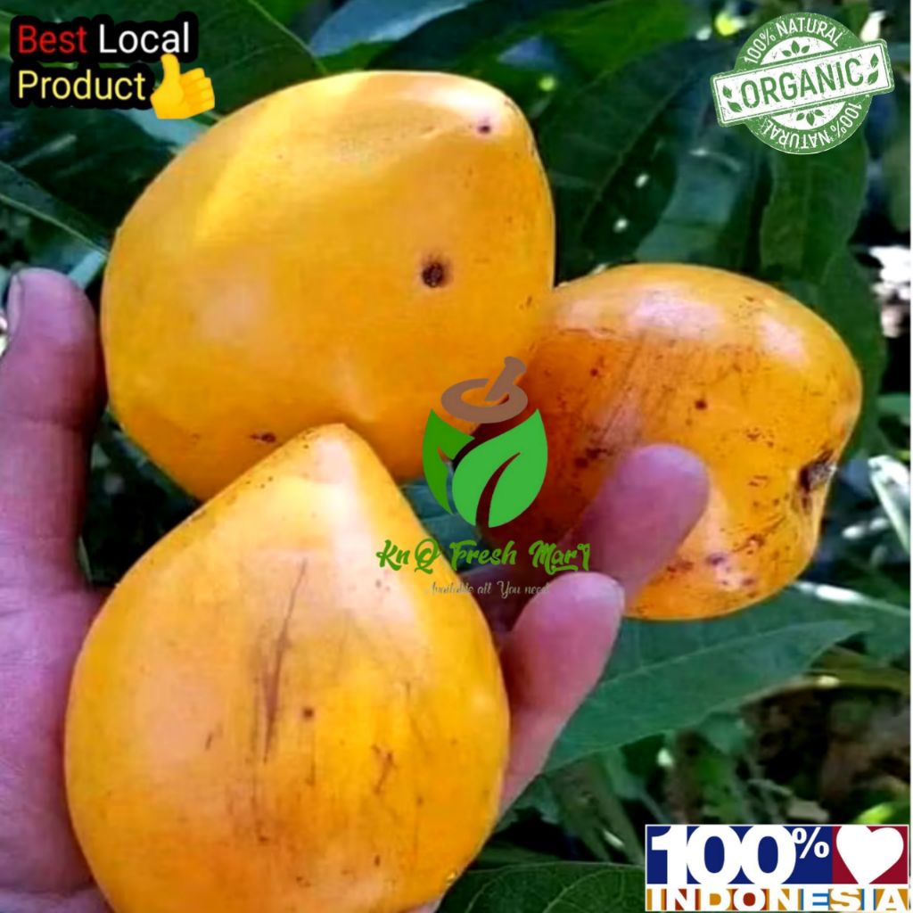 

Buah alkesah sawo mentega 1kg sawo belanda